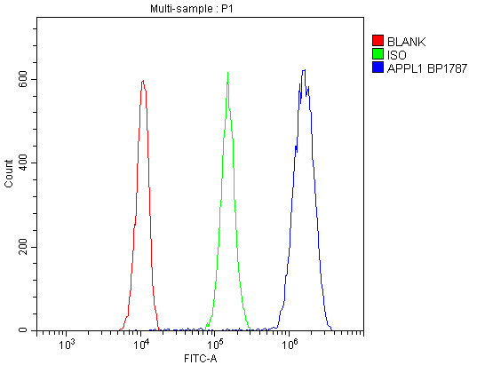 a02381 appl1 primary antibodies fc testing 6