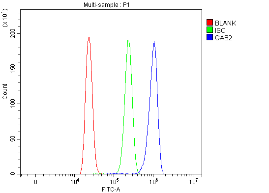  Flow Cytometry analysis of HL-60 cells using anti-GAB2 antibody (A02386-3)