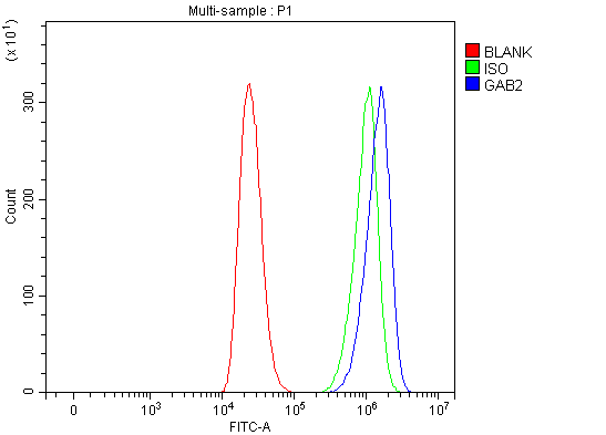 a02386 3 gab2 primary antibodies fcm testing 4