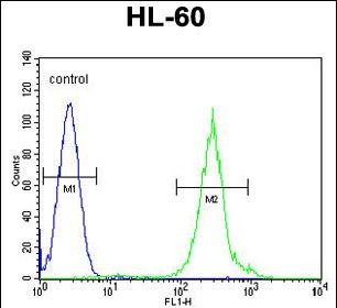 a02387 1 anti fancc antibody c term fc testing 4
