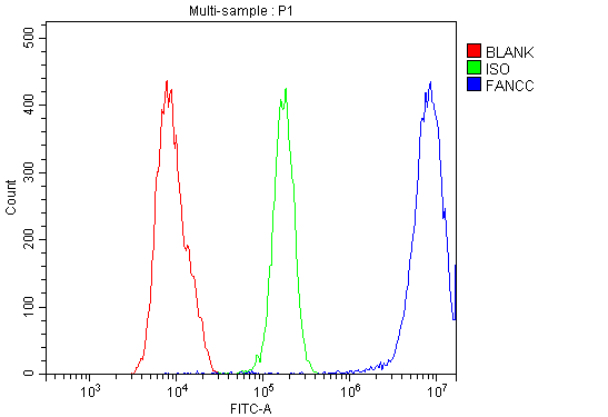 a02387 2 fancc primary antibodies fcm testing 2