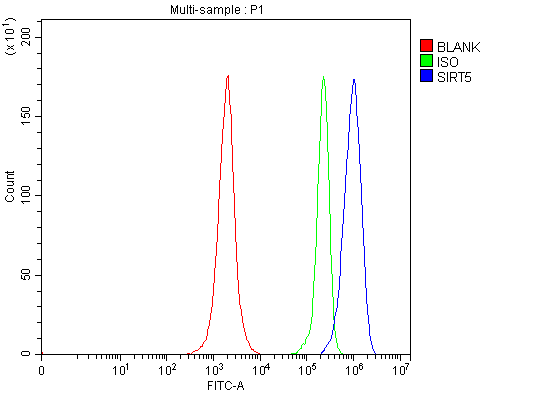 a02395 3 sirt5 primary antibodies fcm testing 5