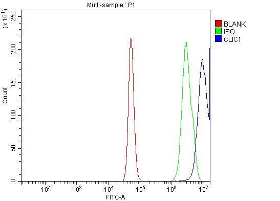  Flow Cytometry analysis of A431 cells using anti-CLIC1 antibody (A02397-1)