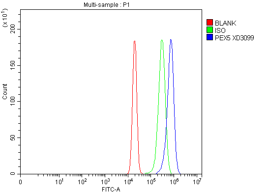 Flow Cytometry analysis of RT4 cells using anti-PEX5 antibody (A02406-2)
