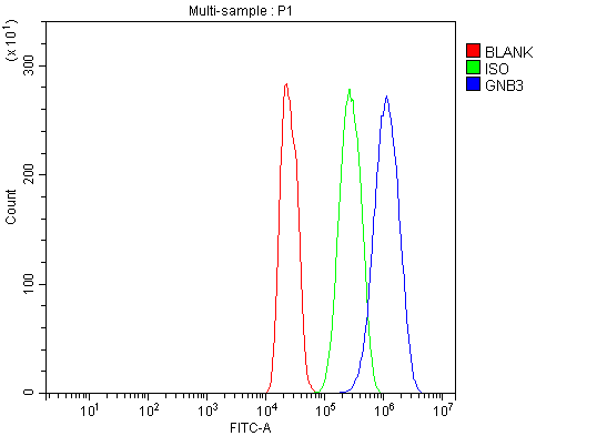 a02407 2 gnb3 primary antibodies fcm testing 9