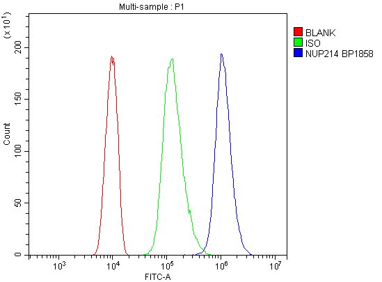 a02408 nup214 primary antibodies fc testing 5