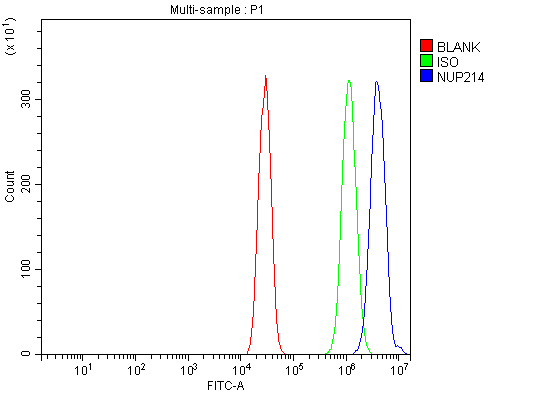 a02408 nup214 primary antibodies fc testing 6