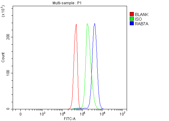 a02409 1 rab7a primary antibodies fcm testing 19