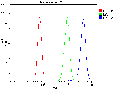 a02409 1 rab7a primary antibodies fcm testing 21