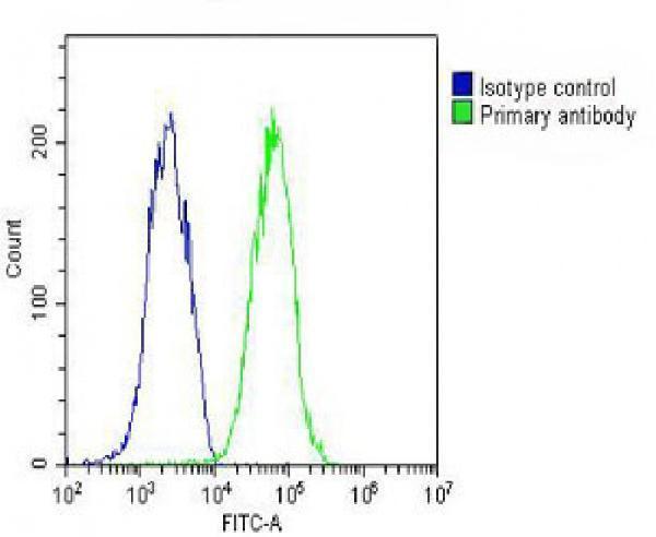 a02409 anti rab7 antibody c term fc testing 7