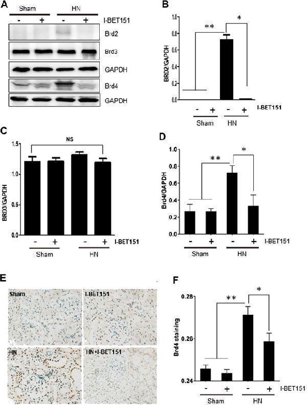 a02412 1 fphar 12 636154 g001