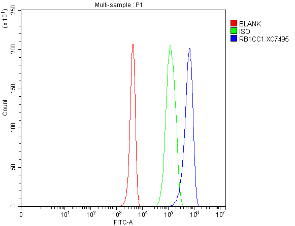 a02414 1 rb1cc1 primary antibodies fcm testing 1