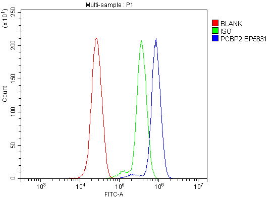 a02425 2 pcbp2 primary antibodies fcm testing 7
