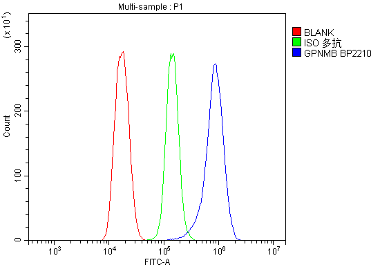 a02439 1 gpnmb primary antibodies fc testing 6