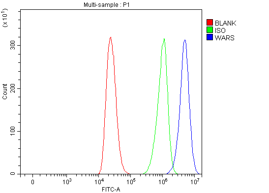 a02444 2 wars1 primary antibodies fcm testing 5