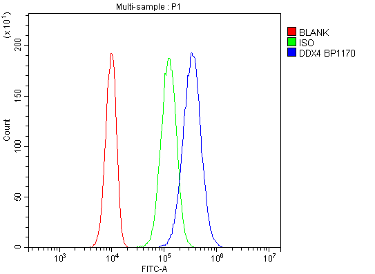 a02448 ddx4 primary antibodies fc testing 4