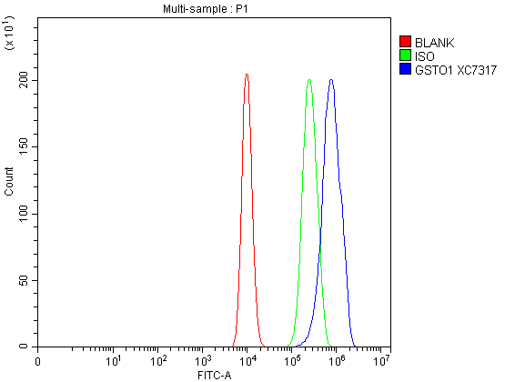 a02461 1 gsto1 primary antibodies fcm testing 1