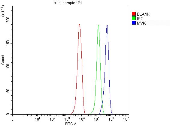 a02465 2 mvk primary antibodies fcm testing 1