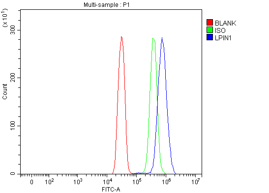  Flow Cytometry analysis of SiHa cells using anti-Lipin 1/LPIN1 antibody (A02467-2)