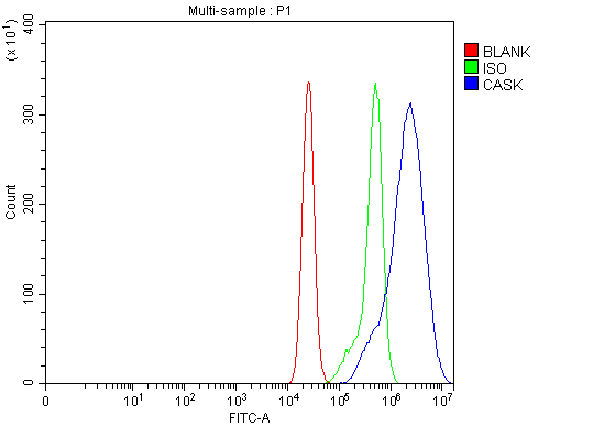  Flow Cytometry analysis of CACO-2 cells using anti-CASK antibody (A02468-2)