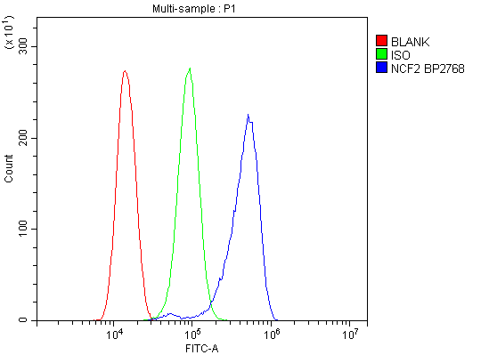 a02476 1 ncf2 primary antibodies fcm testing 5