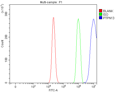  Flow Cytometry analysis of RT4 cells using anti-PTPN13 antibody (A02481-1)