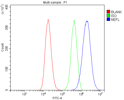 a02482 1 nefl primary antibodies fcm testing 3