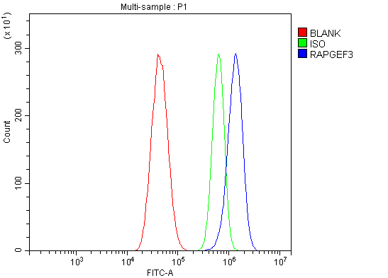 a02483 2 rapgef3 primary antibodies fcm testing 2