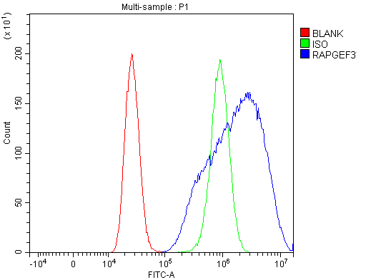 a02483 3 rapgef3 primary antibodies fcm testing 6
