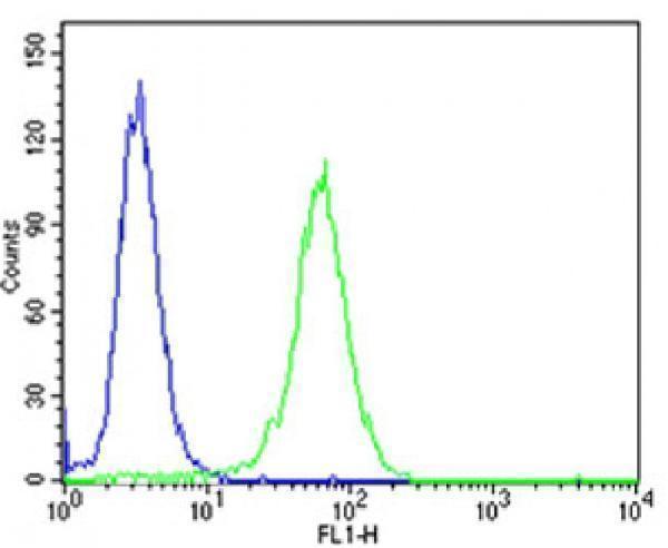 Flow cytometric analysis of NIH-3T3 cells using NTRK3 Antibody (Center) (green, Cat#A02502-1) compared to an isotype control of rabbit IgG (blue)