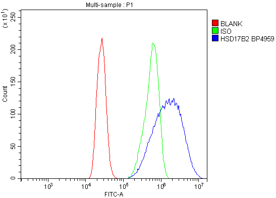  Flow Cytometry analysis of CACO-2 cells using anti-HSD17B2 antibody (A02506)