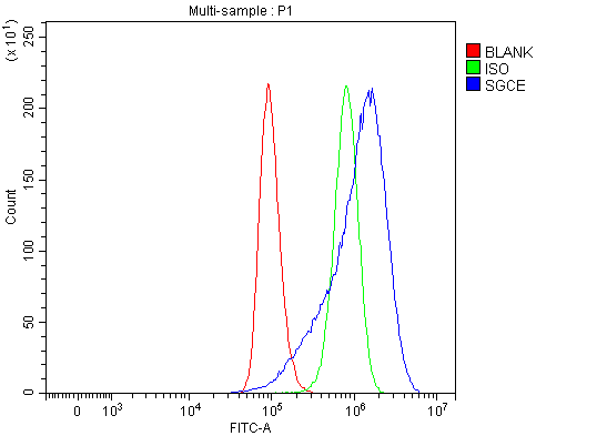 a02507 1 sgce primary antibodies fcm testing 8_1