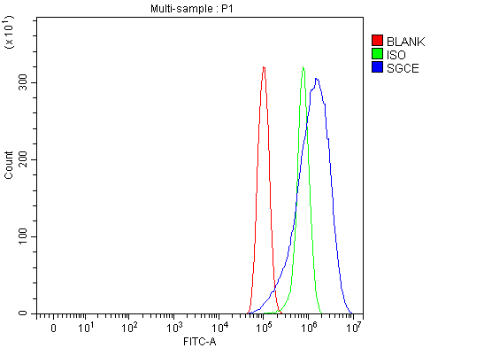 a02507 1 sgce primary antibodies fcm testing 9