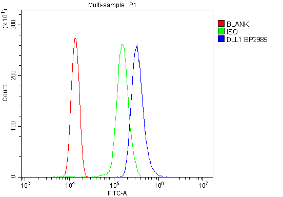 a02513 1 dll1 primary antibodies fcm testing 4
