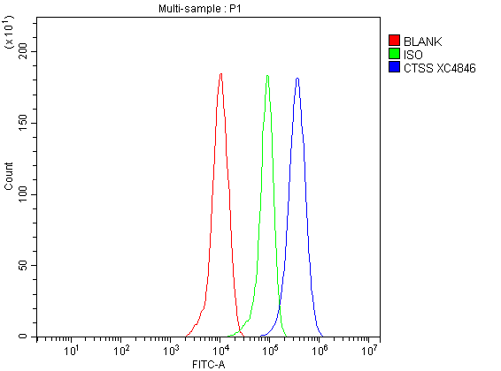  Flow Cytometry analysis of THP-1 cells using anti-CTSS antibody (A02514-2)