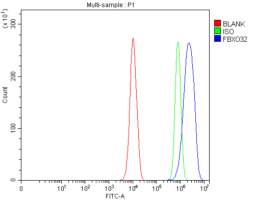  Flow Cytometry analysis of PC-3 cells using anti-Fbx32/FBXO32 antibody (A02531-1)