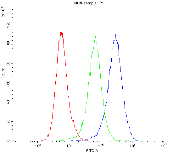 a02536 2 dynamin_1 primary antibodies fc testing 6
