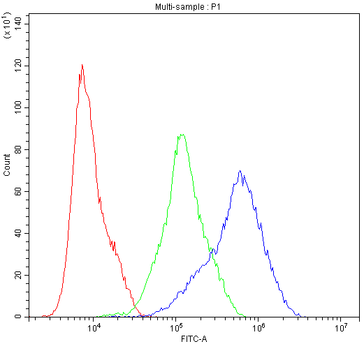 a02536 2 dynamin_1 primary antibodies fc testing 7