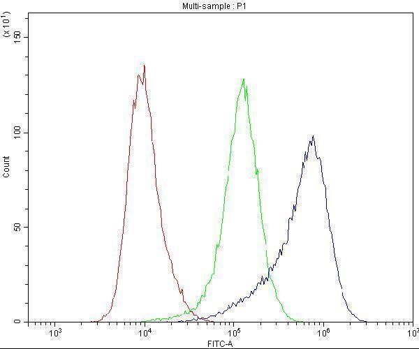 a02536 2 dynamin_1 primary antibodies fc testing 8