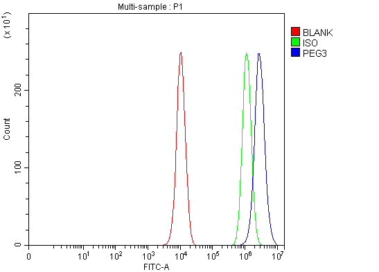 a02541 2 peg3 primary antibodies fcm testing 3