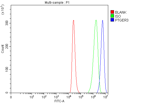  Flow Cytometry analysis of THP-1 cells using anti-PTGER3 antibody (A02548-1)