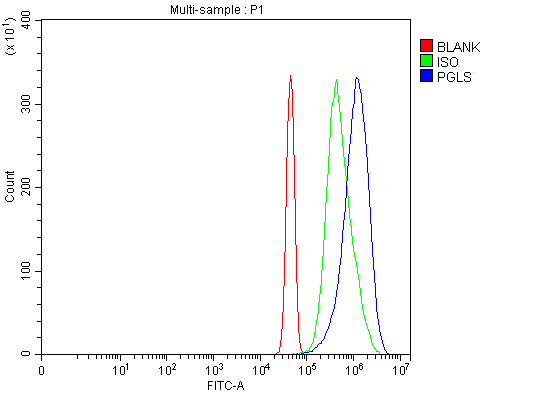  Flow Cytometry analysis of JK cells using anti-PGLS antibody (A02553-2)