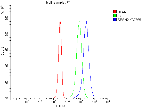 a02558 1 sesn2 primary antibodies fcm testing 1