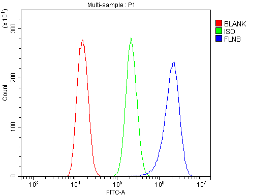 a02562 1 flnb primary antibodies fcm testing 10