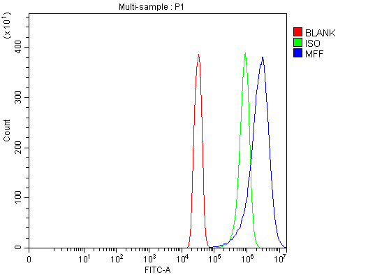 a02563 1 mff primary antibodies fcm testing 8
