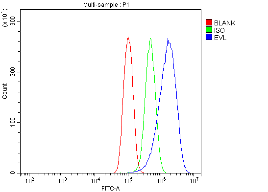 a02568 2 evl primary antibodies fcm testing 5