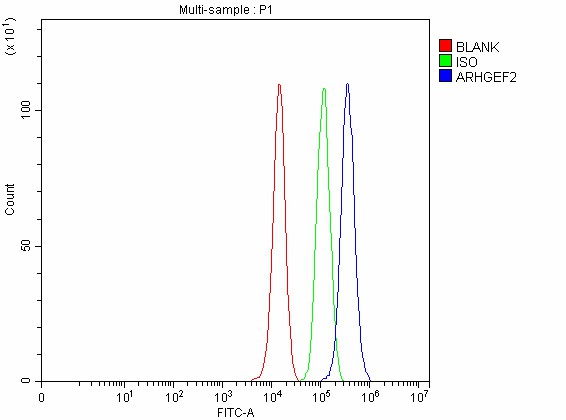 a02572 3 arhgef2 primary antibodies fcm testing 5