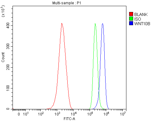 Flow Cytometry analysis of ANA-1 cells using anti-WNT10B antibody (A02574-1)