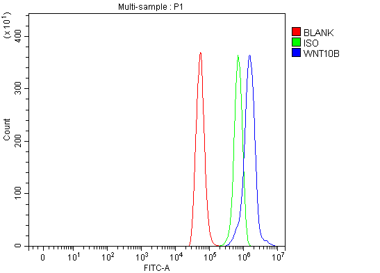 a02574 1 wnt10b primary antibodies fcm testing 4