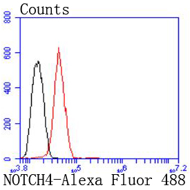 a02582 notch4 primary antiboties fcm testing 1